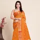 Orange__SUDARSHANSAREE.IN
