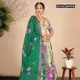 Multicolor__SUDARSHANSAREE.IN