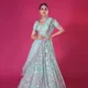 Blue__SUDARSHANSAREE.IN