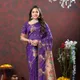 Purple__SUDARSHANSAREE.IN