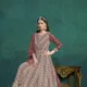 Brown__SUDARSHANSAREE.IN