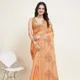 Orange__SUDARSHANSAREE.IN