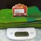ParrotGreen__SUDARSHANSAREE.IN