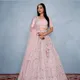 Pink__SUDARSHANSAREE.IN