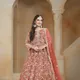 Orange__SUDARSHANSAREE.IN