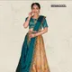Multicolor__SUDARSHANSAREE.IN