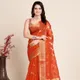 Orange__SUDARSHANSAREE.IN