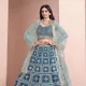 Blue__SUDARSHANSAREE.IN