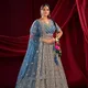 Blue__SUDARSHANSAREE.IN