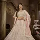 Peach__SUDARSHANSAREE.IN