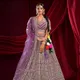 Lavendor__SUDARSHANSAREE.IN