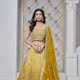 Yellow__SUDARSHANSAREE.IN