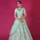 Green__SUDARSHANSAREE.IN