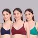 Maroon And Rama Green