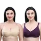 Beige  And  Purple