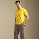 Yellow And Grey