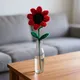 Red And Green