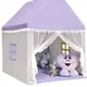 PlanTentHousePurple