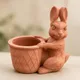 Terracotta Brown