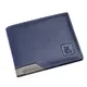 Blue-Grey