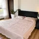 Cream White