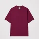 Light Maroon