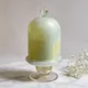 Pastel Green
