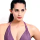 Light Purple