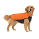 Navy & Orange