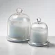 Transparent