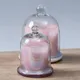 Transparent