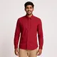 Burgundy Red
