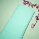 Light Mint Green