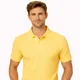 Golden Yellow