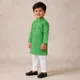 Parrot Green