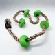 Parrot Green