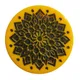 Yellow__NHD