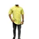 Yellow__TARBOOJ and SONS