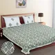 Cambridge Blue__Quilt N Razai 