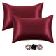 Maroon__Print pillow / RIDDDHI CREATION