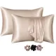 Champagne__Print pillow / RIDDDHI CREATION