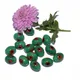Green__Beadwaala