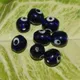 Blue__Beadwaala