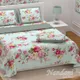 Multi__Bedsheet Adda
