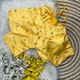 Yellow__Grubstaker