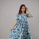 Blue__Shopaxis