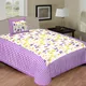 Purple__Quilt N Razai 