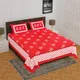 RED__Pink City