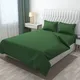 Green__Wellnest