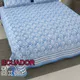 Blue__Quilt N Razai 
